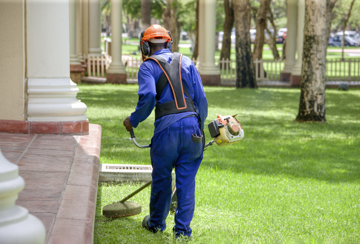 Professional landscaping and grounds maintenance